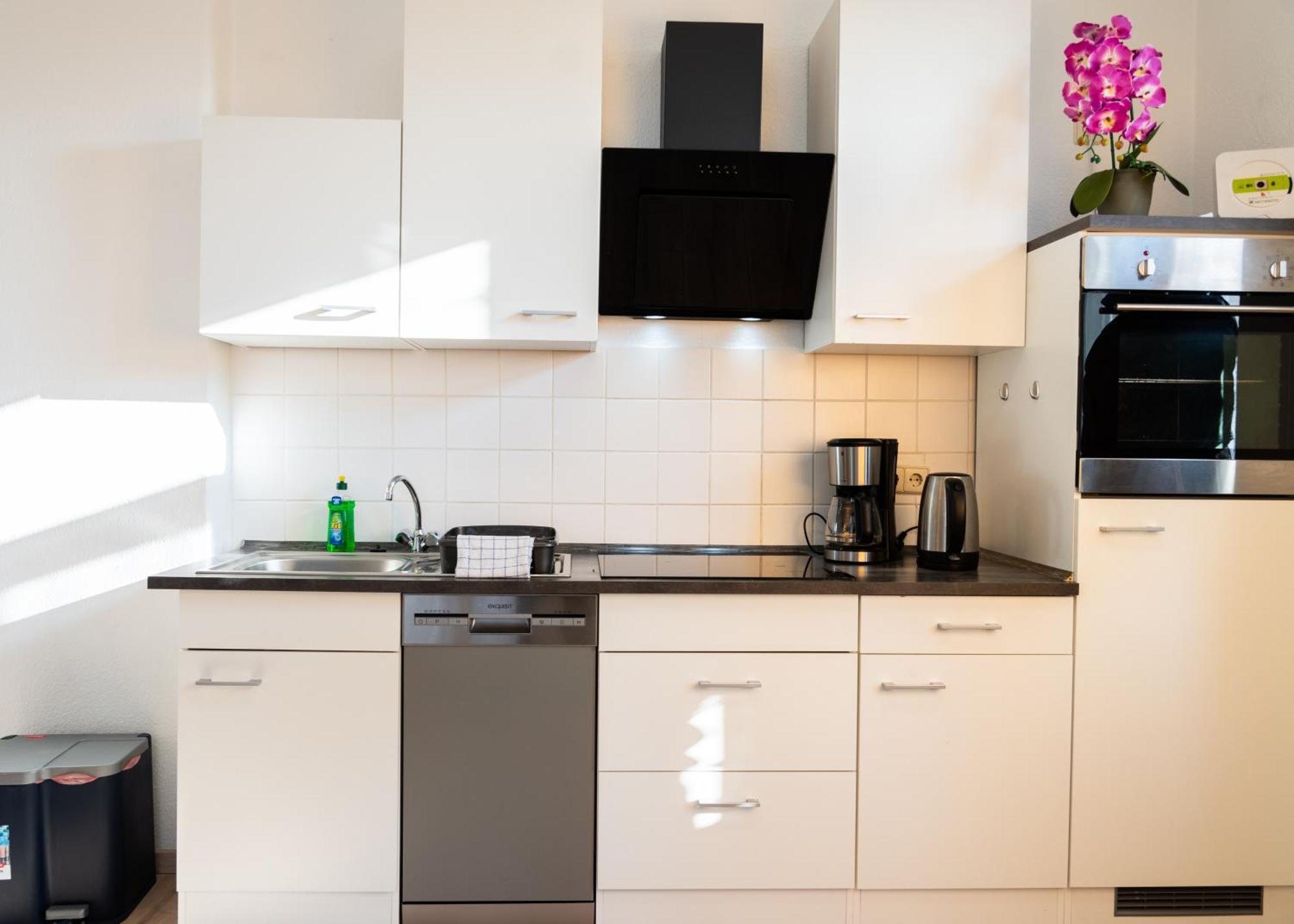 Apartmenthaus Rankestrasse 4 Dresde Extérieur photo