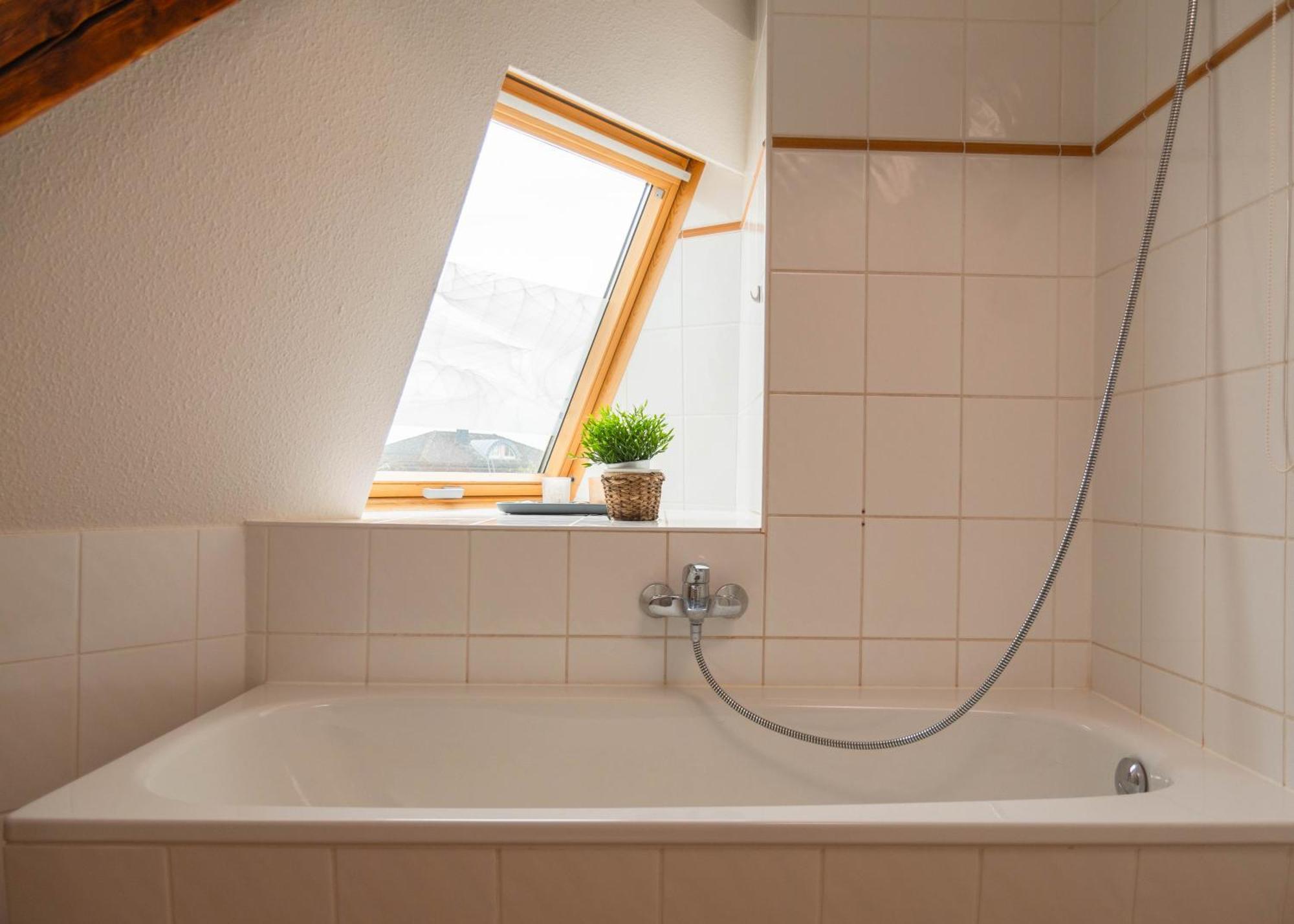 Apartmenthaus Rankestrasse 4 Dresde Extérieur photo