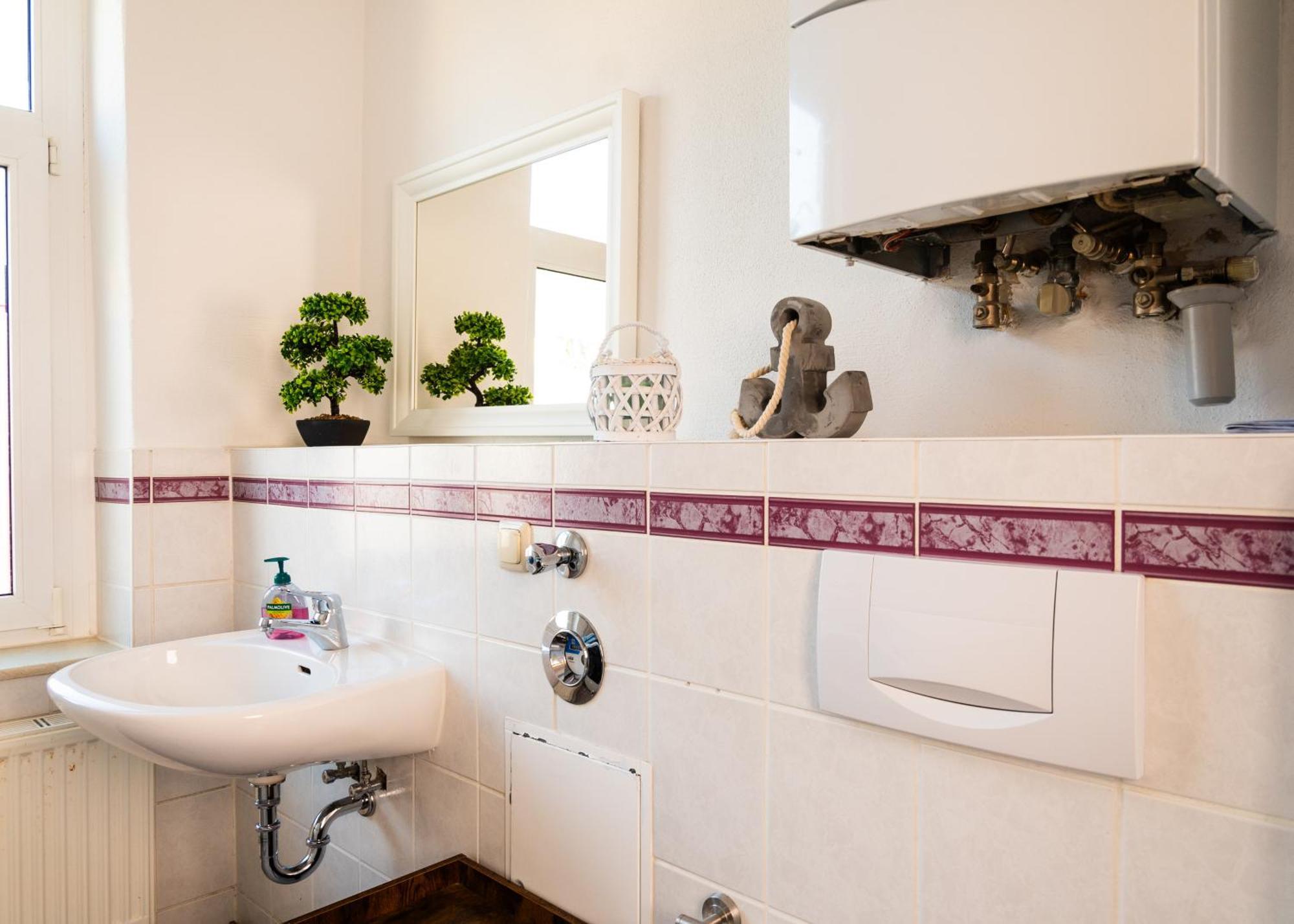 Apartmenthaus Rankestrasse 4 Dresde Extérieur photo