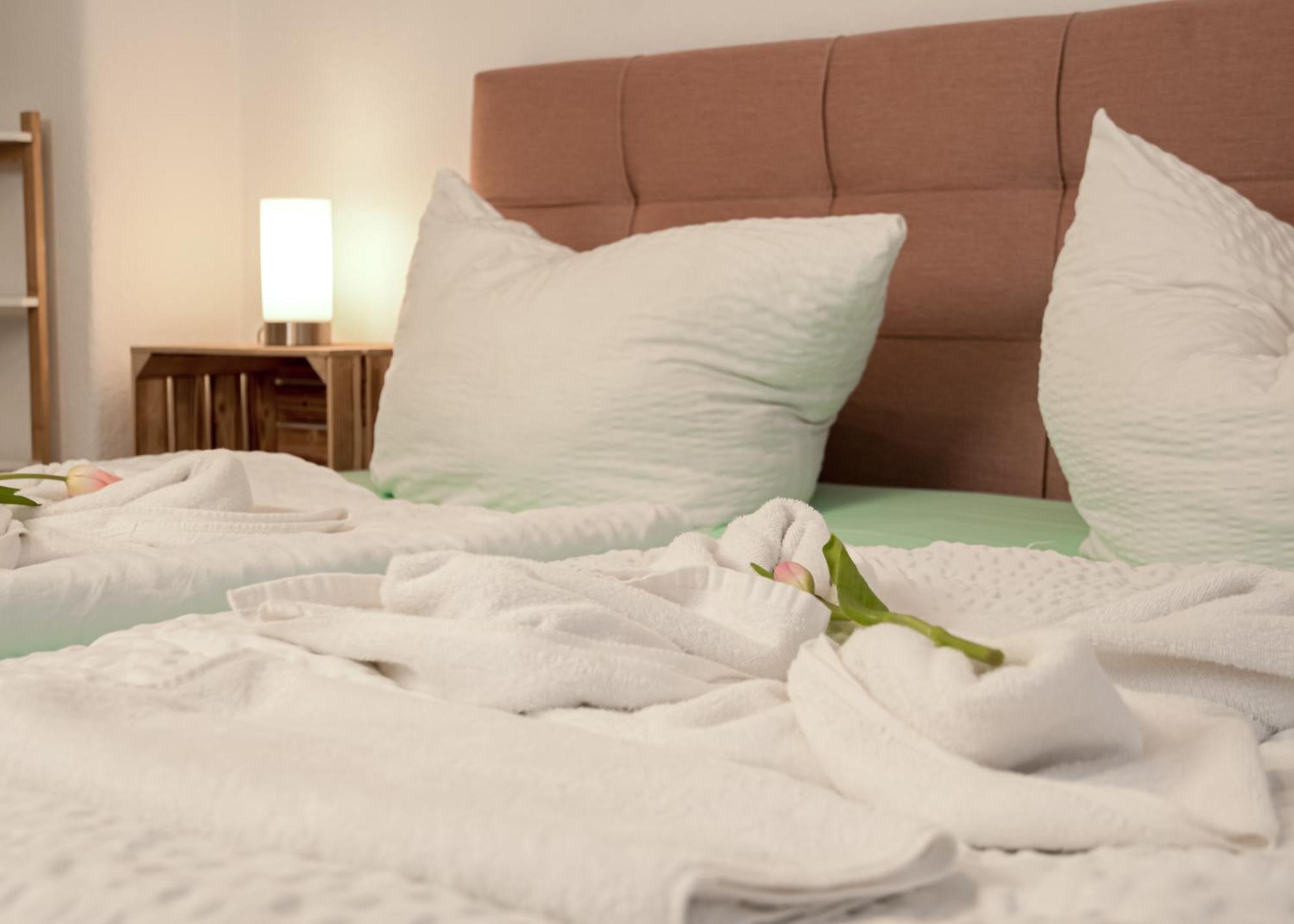 Apartmenthaus Rankestrasse 4 Dresde Extérieur photo